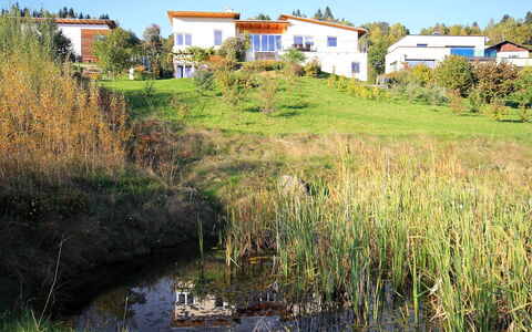 Carinthia: Natürliche Landschaft, Wasser, Vegetation, Natürlichen Umgebung, Bank, Wasserweg, Naturschutzgebiet, Fluss, Graspflanze