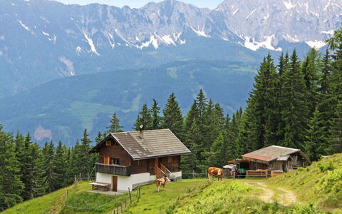 Wassertheureralm: Himmel, Pflanze, Berg, Gebäude, Ökoregion, Grün, Natur, Natürliche Landschaft, Baum, Lärche