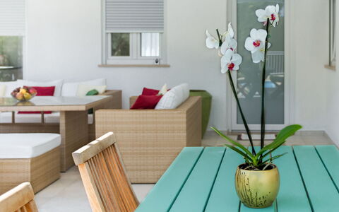 Umag Zambratija 425: Tabelle, Pflanze, Möbel, Blume, Fenster, Grün, Blumentopf, Gebäude, Holz, Interior Design