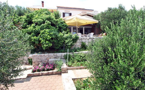 Mirta: Eigentum, Haus, Grundeigentum, Garten, Zuhause, Baum, Hinterhof, Botanik, Garten, Landschaft