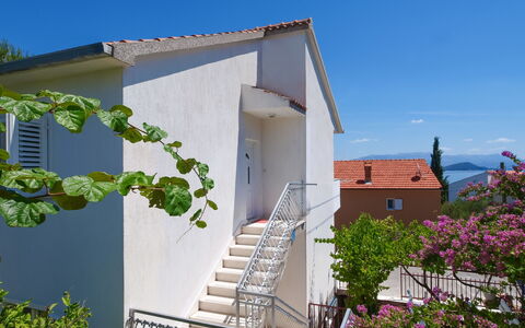 Trogir Slatine 165: Pflanze, Himmel, Eigentum, Gebäude, Blume, Treppe, Haus, Hütte, Baum, Wohngebiet
