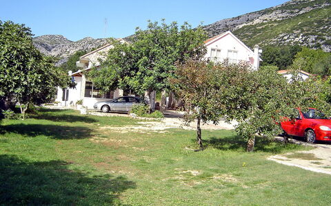 Balota: Eigentum, Kraftfahrzeug, Gras, Haus, Wildnis, Fahrzeug, Baum, Berg, Zuhause, Rasen