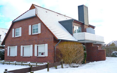 Norddeich 361: Pflanze, Himmel, Eigentum, Gebäude, Fenster, Haus, Baum, Grundstueck, Gras, Holz