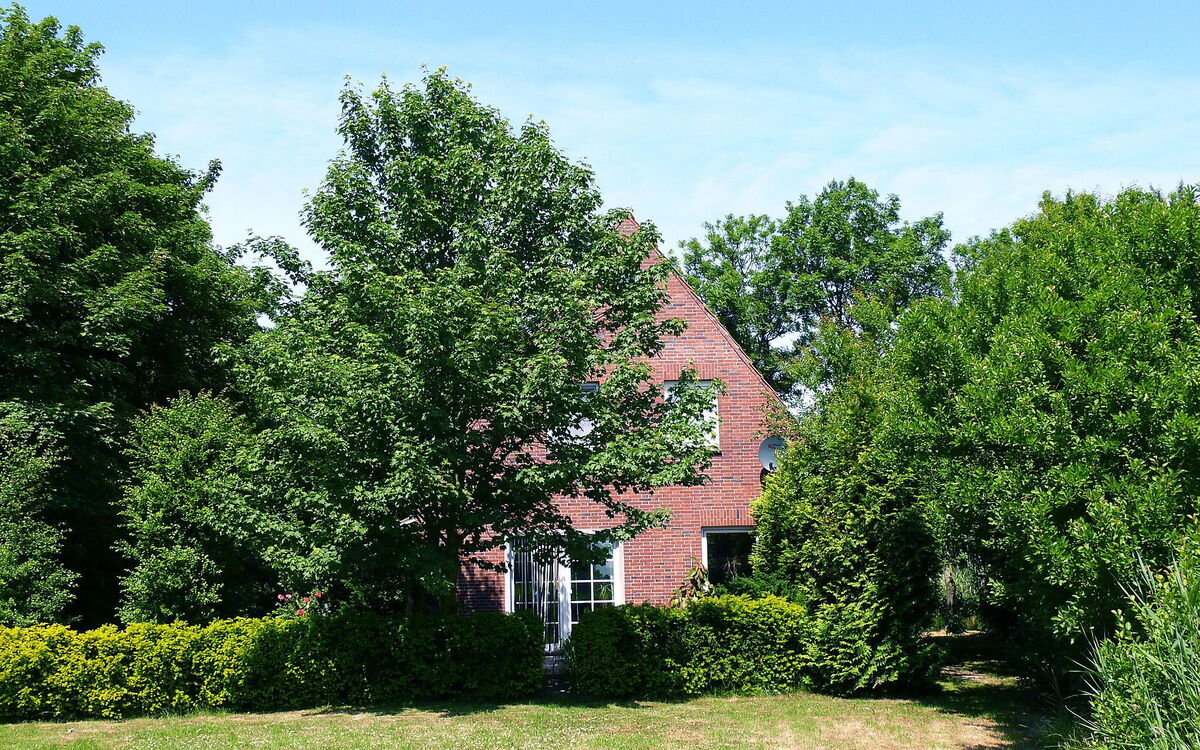 Natur Pur am Nordseedeich