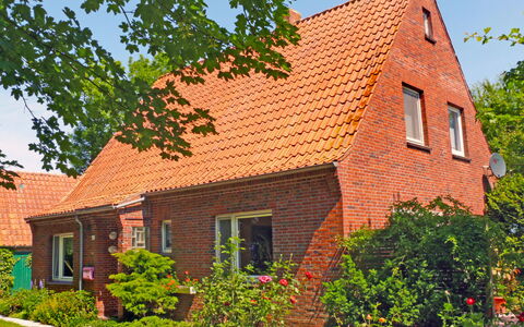 Natur Pur am Nordseedeich: Pflanze, Gebäude, Eigentum, Fenster, Himmel, Haus, Hütte, Baum, Backstein, Holz