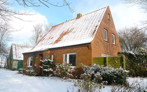 Natur Pur am Nordseedeich: Pflanze, Himmel, Gebäude, Schnee, Wolke, Fenster, Haus, Baum, Natürliche Landschaft, Zweig