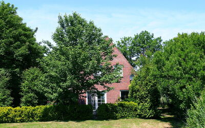Natur Pur am Nordseedeich