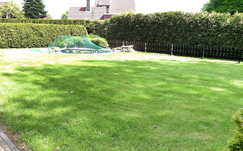 Bentweg: Rasen, Gras, Garten, Garten, Eigentum, Grundstueck, Graspflanze, Strauch, Pflanze, Hinterhof