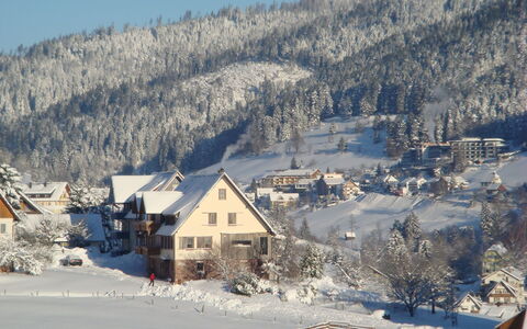 Baiersbronn 200