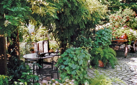 Haus Schwärzel: Pflanze, Blatt, Vegetation, Gras, Gehölz, Terrestrische Plant, Ground, Strauch, Landschaft, Baum