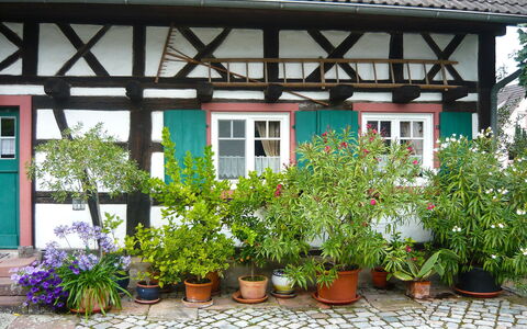 Haus Schwärzel: Blume, Pflanze, Eigentum, Fenster, Blumentopf, Zimmerpflanze, Gebäude, Haus, Strauch, Grundeigentum