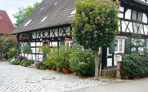Haus Schwärzel: Pflanze, Fenster, Gebäude, Blume, Vegetation, Nachbarschaft, Strauch, Haus, Grundeigentum, Fassade