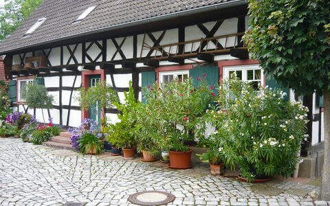 Haus Schwärzel: Blume, Pflanze, Eigentum, Fenster, Gebäude, Botanik, Die Architektur, Strassenbelag, Blumentopf, Zimmerpflanze