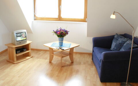 Ichenheim 120: Eigentum, Möbel, Blume, Couch, Fenster, Komfort, Holz, Beleuchtung, Interior Design, Flooring