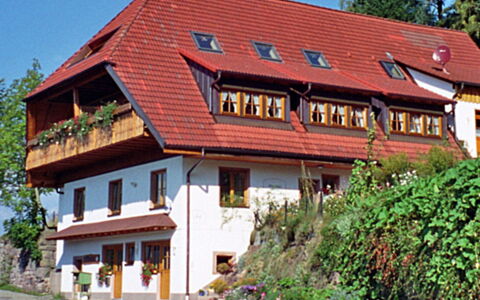 Schiltach 100: Pflanze, Gebäude, Fenster, Himmel, Baum, Haus, Holz, Hütte, Freizeit