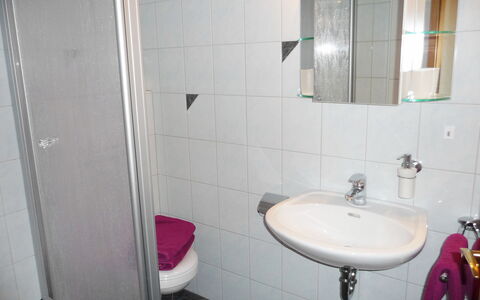 Haus Sacherer: Badezimmer, Eigentum, Zimmer, Lila, Wand, Armatur, Fliese, Rosa, Zapfhahn, Die Architektur