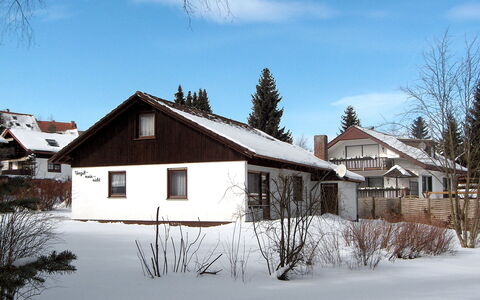 Vergissmeinnicht: Himmel, Wolke, Gebäude, Schnee, Pflanze, Eigentum, Fenster, Haus, Ast, Baum
