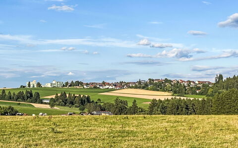 Mily: Blau, Daytime, Grün, Gras, Wiese, Einfach, Feld, Landschaft, Horizont, Sommer