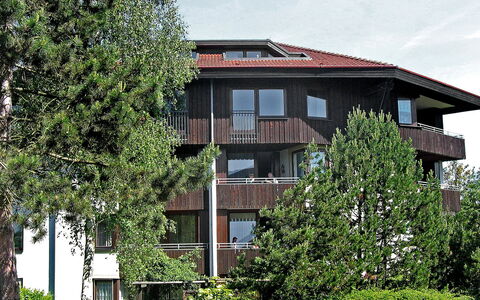 Immenstaad 230: Pflanze, Himmel, Gebäude, Fenster, Vegetation, Wolke, Grundstueck, Baum, Haus, Gras