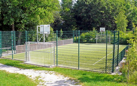 Siegsdorf 100: Pflanze, Eigentum, Baum, Zaun, Grundstueck, Gras, Home Fechten, Strauch, Rechteck, Gittergewebe