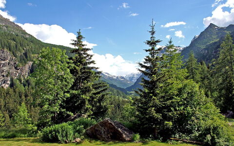 Chez les Roset: Bergforms, Berg, Natürliche Landschaft, Hochland, Natur, Wildnis, Baum, Gebirge, Tropische Und Subtropische Koniferenwald, Bergstation