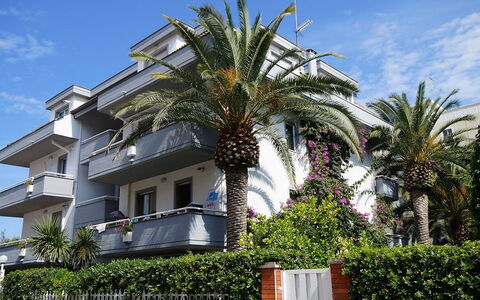 San Benedetto del Tronto 140: Himmel, Pflanze, Wolke, Fenster, Gebäude, Arecales, Terrestrische Plant, Urban Design, Fassade, Wohngebiet