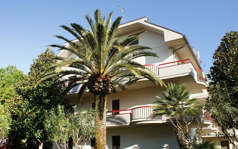 Magnolia: Baum, Eigentum, Palme, Haus, Gebäude, Zuhause, Die Architektur, Wohngebiet, Arecales, Grundeigentum