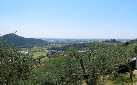 Le Bozzelle: Vegetation, Himmel, Baum, Bergstation, Hügel, Ländliches Gebiet, Berg, Chaparral, Einfach, Grundstueck