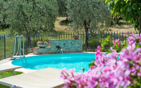 San Gimignano 150: Wasser, Pflanze, Blume, Grün, Natur, Botanik, Baum, Schwimmbad, Gras, Vegetation