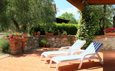 Castelnuovo Berardenga 600: Pflanze, Blume, Möbel, Eigentum, Blumentopf, Zimmerpflanze, Gartenmöbel, Stuhl, Holz, Flooring