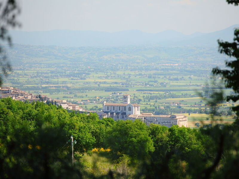 Assisi 100