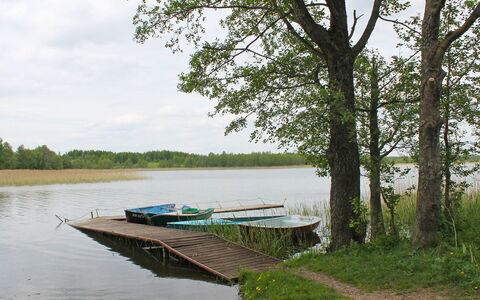 Letniskowa 29: Natürliche Landschaft, Wasser, Natur, Baum, Bank, Fluss, Natürlichen Umgebung, Naturschutzgebiet, See, Wasserweg