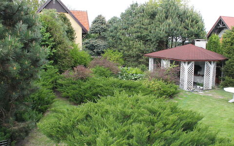 Letniskowa 29: Eigentum, Vegetation, Haus, Natürliche Landschaft, Baum, Grundstueck, Strauch, Garten, Hütte, Zuhause