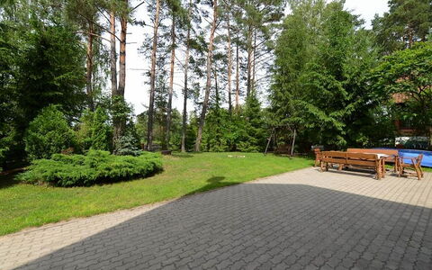 Dom Pod Sosnami: Baum, Eigentum, Gras, Walkway, Strassenbelag, Garten, Botanik, Botanischer Garten, Grundeigentum, Pflanze