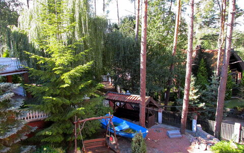 Mielno 2: Baum, Biome, Pflanze, Gehölz, Botanik, Wald, Pine Familie, Zuhause