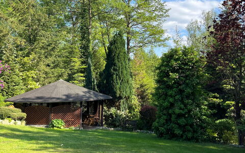 Willa Teresa: Baum, Blatt, Grün, Natur, Vegetation, Garten, Strauch, Pflanzengemeinschaft, Grundstueck