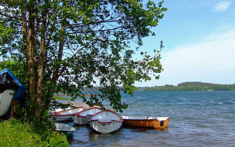 Trzy Brzozy: Wassertransport, Baum, See, Fluss, Ufer, Boot, Fahrzeug, Wasserweg, Bootfahren, Urlaub