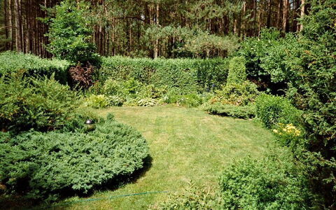 Borek Sulęcki: Natürliche Landschaft, Vegetation, Baum, Grün, Natürlichen Umgebung, Strauch, Garten, Biome, Naturschutzgebiet, Pflanze