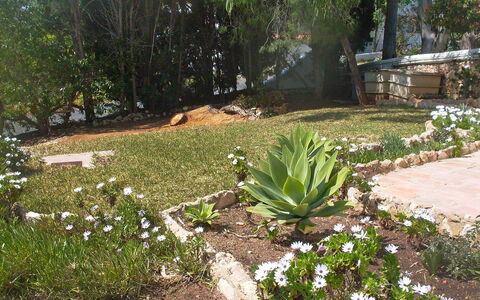 Doroteia: Garten, Pflanze, Blume, Garten, Botanik, Landschaft, Pflanzengemeinschaft, Graspflanze, Landscaping, Gras