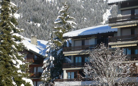 Villars 130: Schnee, Winter, Eigentum, Baum, Einfrieren, Zuhause, Haus, Dach, Ast, Pine Familie