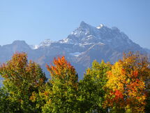 Residence Du Golf B18