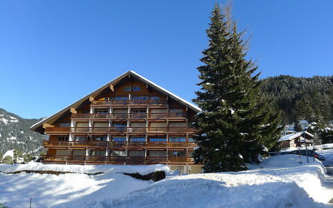 Emeraude 31