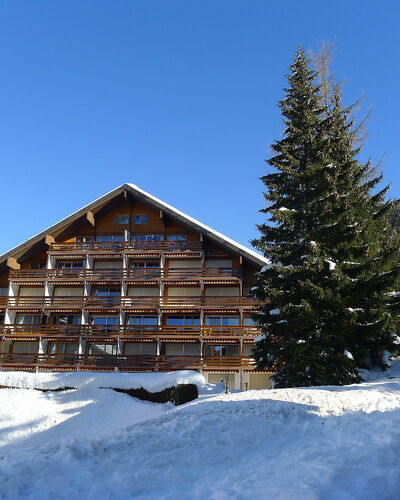 Emeraude 31