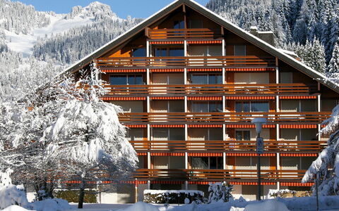 Villars 600: Schnee, Gebäude, Himmel, Eigentum, Berg, Weiss, Haus, Baum, Die Architektur, Holz