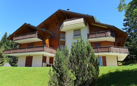 Villars 787: Pflanze, Himmel, Gebäude, Fenster, Baum, Haus, Grundstueck, Gras, Hütte