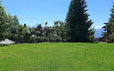 Villars 787: Rasen, Gras, Baum, Grundstueck, Natürlichen Umgebung, Wiese, Wiese, Eigentum, Daytime, Weide