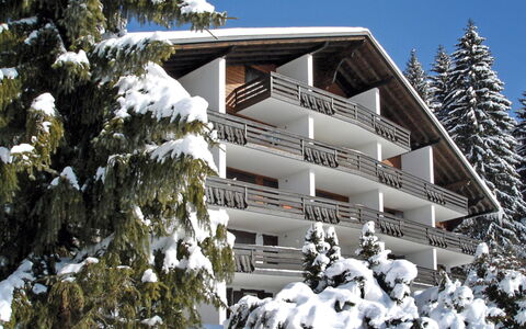 Savoie 1: Himmel, Schnee, Gebäude, Fenster, Baum, Haus, Pflanze, Ast, Steigung, Einfrieren
