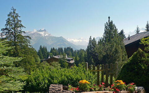 Villars 850: Bergforms, Berg, Natürliche Landschaft, Natur, Wildnis, Baum, Gebirge, Bergstation, Vegetation, Alpen
