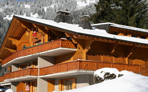 Argentière 8: Schnee, Gebäude, Fenster, Berg, Himmel, Steigung, Haus, Welt, Holz, Biome