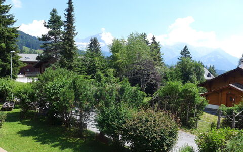 Villars 995: Baum, Eigentum, Vegetation, Biome, Haus, Wildnis, Zuhause, Grundeigentum, Gehölz, Pflanze